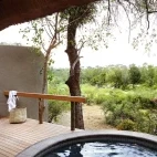 Private plunge pool and outdoor shower, overlooking Londolozi Private Game Reserve land, and a pair of African elephants.