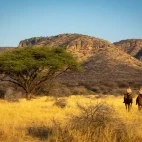 Horse riding in South Africa