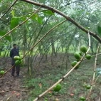 Coffee at Aregash Lodge in Ethiopia.