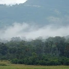 Misty landscape of Chebera-Churchura National Park, Ethiopia.