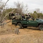 Safari vehicle at Serondella Game Lodge in South Africa.