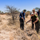 Tree conservation in Kalahari Private Reserve, South Africa.