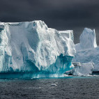 Icebergs in Port Charcot in Antarctica.