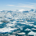 The sea full of icebergs in Greenland.