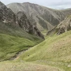 Gouli Valley, Qinghai, China.