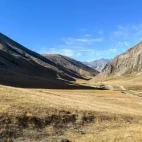 Gouli Valley, Qinghai, China.