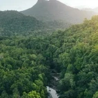 View of Daintree National Park, Australia.