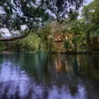 The Mossman River by Silky Oaks Lodge, Australia.