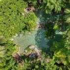 Aerial view of a guest enjoying a swim, at Silky Oaks Lodge, Australia.
