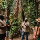 Guests on a dreamtime walk in Mossman Gorge, Daintree National Park, Australia.