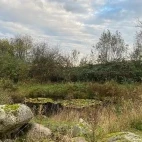 A pond area within Edotopia Nature Reserve, Netherlands.