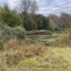 The environment of Edotopia Nature Reserve in the Netherlands.