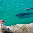 Southern right whales in Rincon Chico, Patagonia, Argentina.