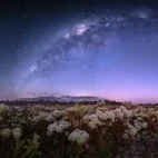 Trijuncao Private Reserve at night.