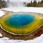 Geyser in Yellowstone National Park, USA.