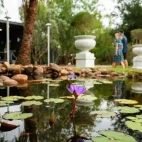 Exterior view of Cicada Lodge, Australia.