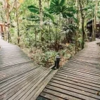 Walkways to the cabins at Daintree Wilderness Lodge, Australia.