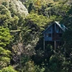 A treehouse at Rose Gums Wilderness Retreat, Australia.