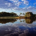 Water reflecting a scenic view of the South Pantanal, Brazil.