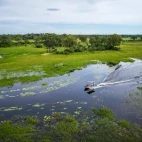 Aerial view of a boat trip in the Okavango Delta, Botswana.