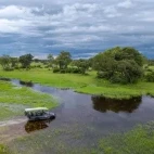 Game drive from Karangoma accommodation in the Okavango Delta, Botswana.