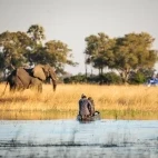 Guests in a mokoro heading for the helicopter, in the Okavango Delta, Botswana.