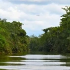 An Akaka landscape, in Loango National Park, Gabon