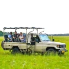 A safari vehicle in Gabon