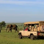 Guests observing elephant in Kenya.