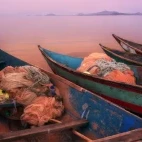 Fishing boats moored on Lake Victoria, Kenya, at sunset.