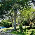 Exterior area of Mfangano Island Lodge, where the island meets the waters edge of Lake Victoria.