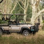 Guests on a game drive in Gorongosa National Park, Mozambique.