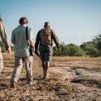 Guests on a guided walk in Gorongosa National Park, Mozambique.
