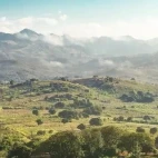 The lush landscape of Gorongosa National Park, Mozambique.