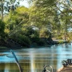 View of a river in Gorongosa National Park, Mozambique.
