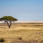 Etosha National Park in Namibia
