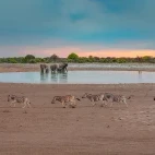 Waterhole in Etosha National Park, Namibia