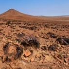Palmwag Concession in Namibia