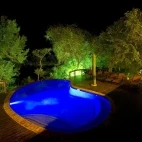 Swimming pool at Elephant Plains Game Lodge in South Africa