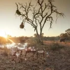 Coffee break at Kings Camp in Timbavati Game Reseve, South Africa