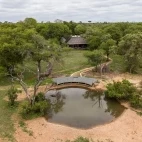 Hide at Kings Camp in Timbavati Game Reseve, South Africa.