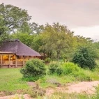 Shindzela Tented Safari Camp in Timbavati Private Game Reserve, South Africa 