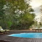 Swimming pool at Rhino Plains Camp in South Africa.