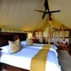 Tent at Rhino Plains Camp in South Africa.