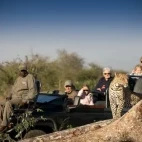 Safari vehicle at Rockfig Safari Lodge in Timbavati Game Reserve, South Africa