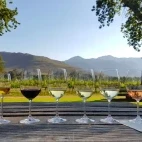 Wine tasting at a vineyard in South Africa