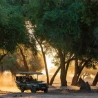 Vehicle safari from Chula Island Camp in Lower Zambezi National Park, Zambia