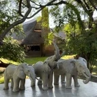 Elephant sculpture from Nick Mackman's South Luangwa Art Safari trip to Zambia