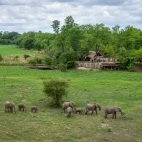 Aerial view of Zungulila, overlooking grassland and a herd of African elephants.