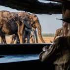 Guest observing wildlife from the hide at Sable Valley Lodge, Zimbabwe.